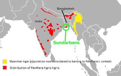 Sundarbans