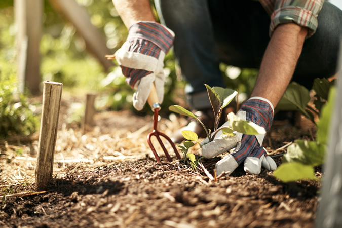 Person Gardening