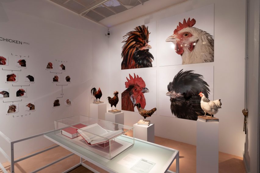http://www.dezeen.com/