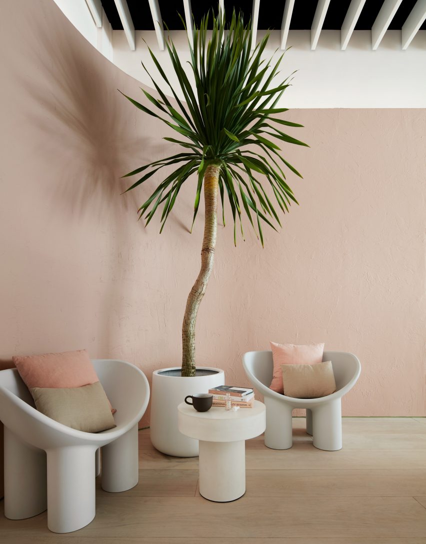 Standard Dose New York by SR Projects