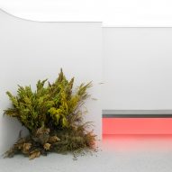 Guapa Flower Shop by Eduard Eremchuck