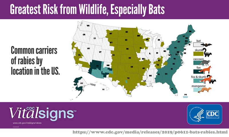 Rabies_Risk_factors_CDC