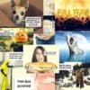 funny pregnancy calendar