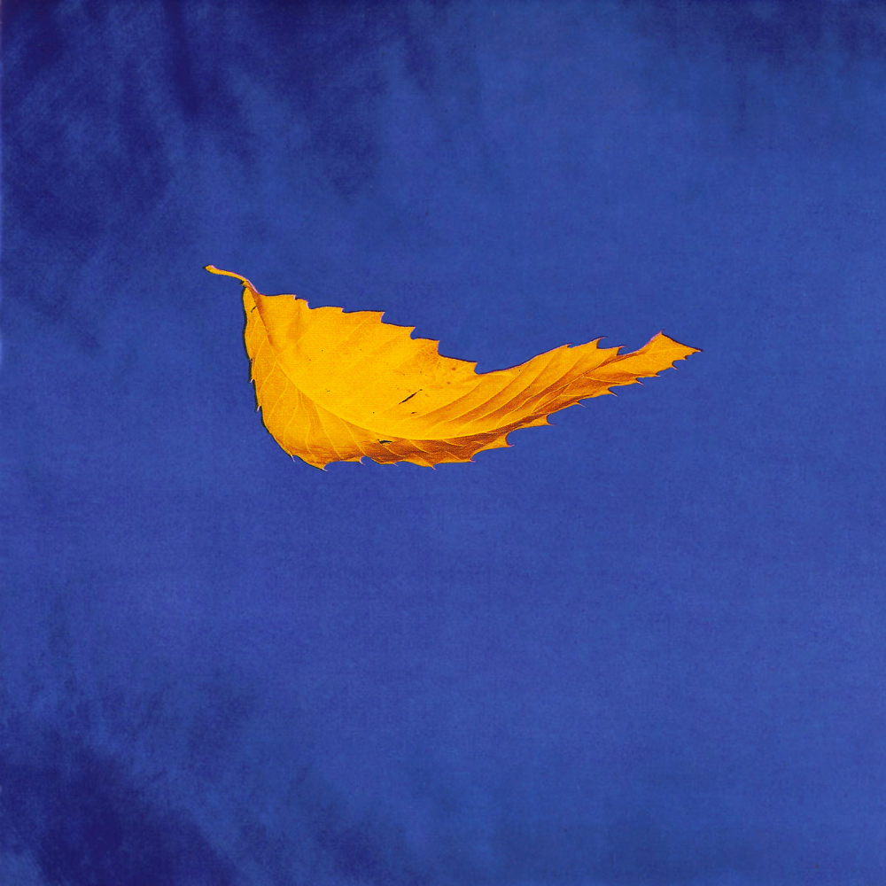 New Order True Faith