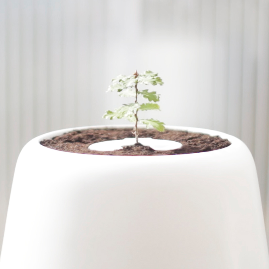 The Bios Incube designed by Bios Urn in Barcelona, Spain