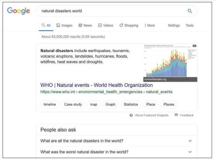 google_search_disasters