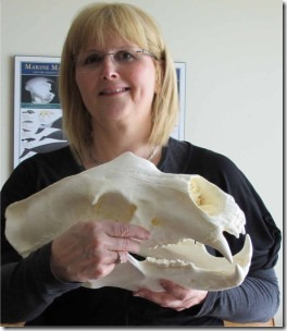 crockford-skull crockford-skull
