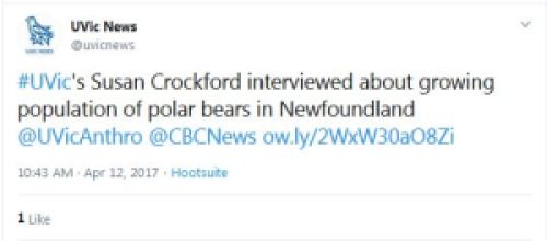 UVicNews tweet about Crockford CBC polar bear interview 12 April 2017