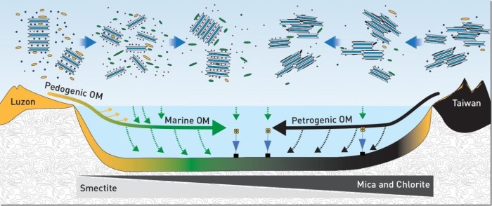 The path of clay minerals and organic matter bound to them from the land surface to marine sediment. Credit Graphic: ETH Zurich after Blattmann et al., Science 2019