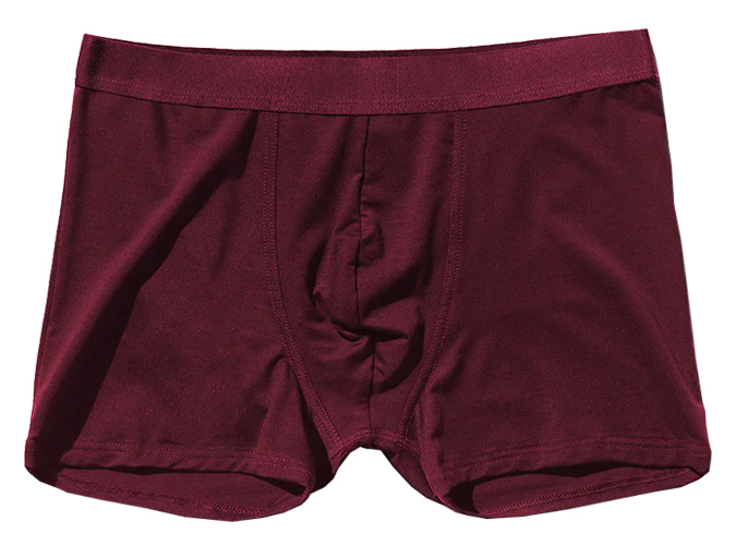cdlp Boxer Brief