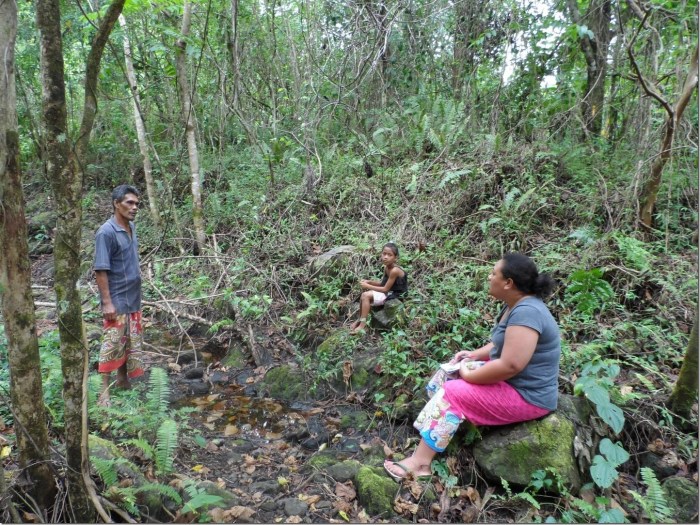 Dr Anita Latai-Niusulu interviewing a Samoan farmer. Credit: Dr Anita Latai-Niusulu