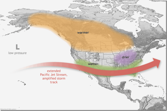 file-20191105-88368-yn9lp9
