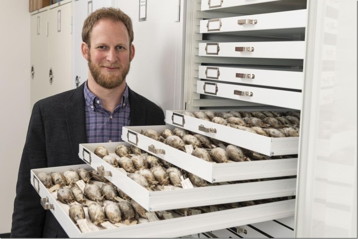 University of Michigan evolutionary biologist Benjamin Winger with some of the migratory songbirds used in a large study of avian responses to climate warming.  Credit: Roger Hart/University of Michigan Photography.