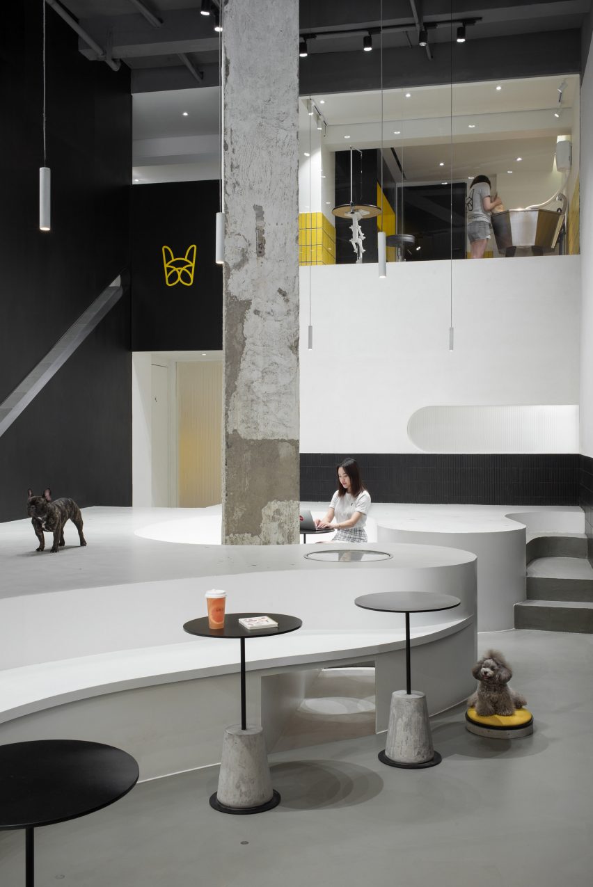 Nova Pets grooming salon by Say Architects