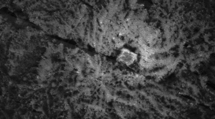 Picture of the Vinalia Faculae region of Ceres obtained by NASA's Dawn spacecraft on July 6, 2018 at an altitude of about 58 kilometres. Can a square and/or a triangle be seen? Credit: NASA/JPL-Caltech/UCLA/MPS/DLR/IDA