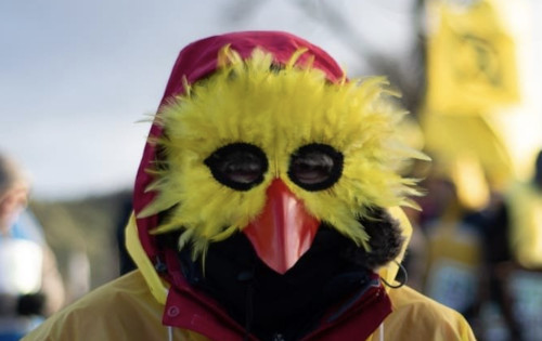 Extinction Rebellion Protestor