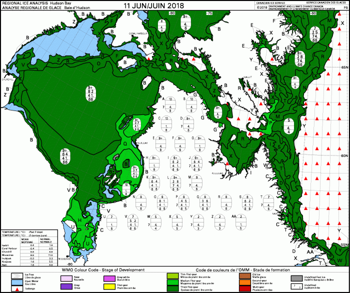 Hudson Bay weekly stage of development 2018 June 11
