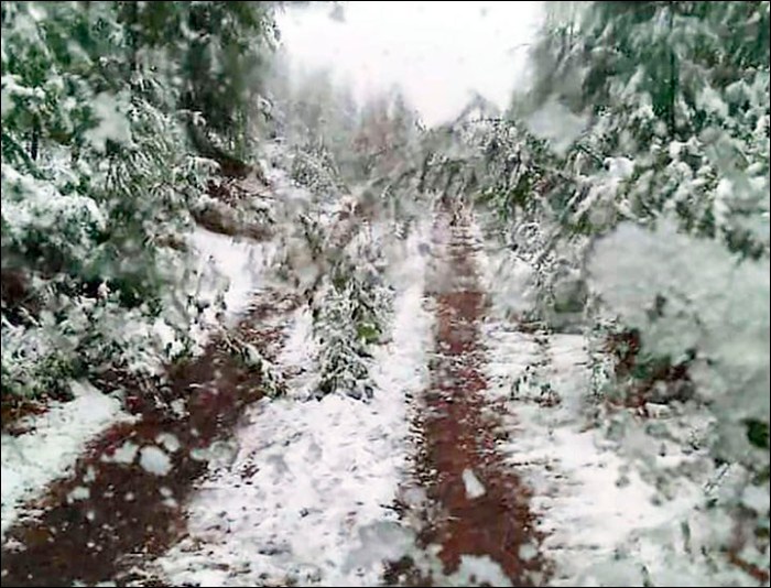 Snow in Verkhoyansk district