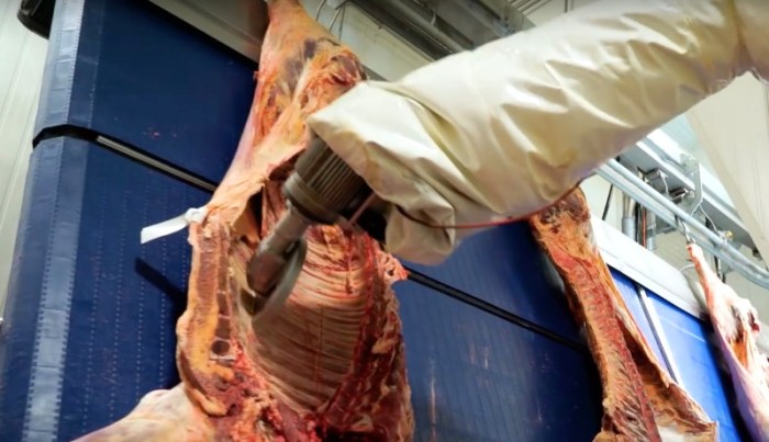 Robot Meat Packing Machine